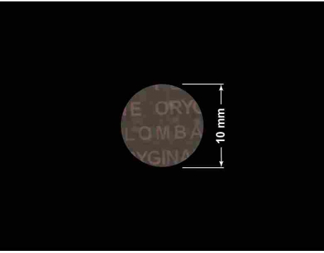 PLOMBA VOID TRANSPARENT POŁYSK PLOMBA SECURITY T-54AY2 kółko 10mm