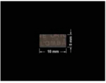 PLOMBA VOID TRANSPARENT POŁYSK PLOMBA SECURITY T-54AY2 prostokąt 30x13mm