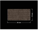 PLOMBA VOID TRANSPARENT POŁYSK PLOMBA SECURITY T-54AY2 prostokąt 30x15mm