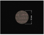 PLOMBA VOID TRANSPARENT POŁYSK PLOMBA SECURITY T-54AY2 kółko 12mm