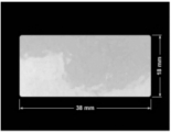 PLOMBA VOID BIAŁA POŁYSK PLASTER MIODU D-452M prostokąt 38x18mm